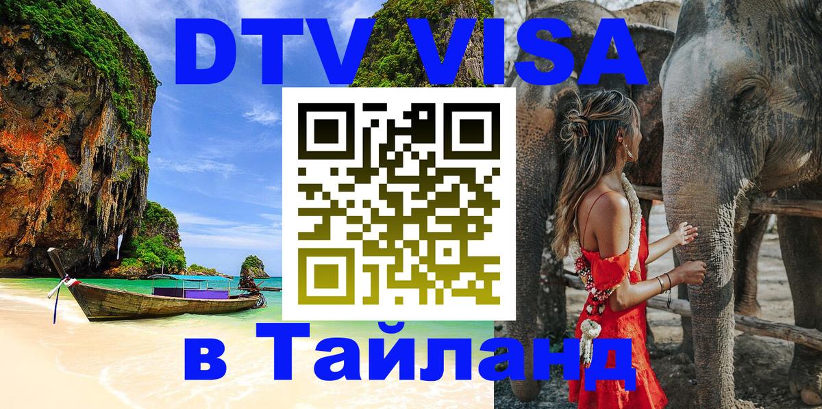 Оформление DTV визы под ключ: стоимость и тарифы, только загранпаспорт - 21.11.2025 